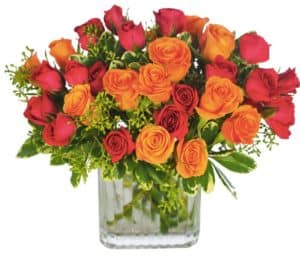Twelve premium bright, cheerful assorted roses arranged with lush greenery and an accent flower like wax flower (pictured), seeded eucalyptus, or bells of Ireland.