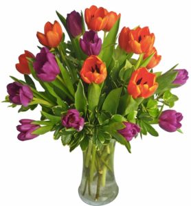 orange and purple Dutch tulips and lush greenery in a clear glass vase.
