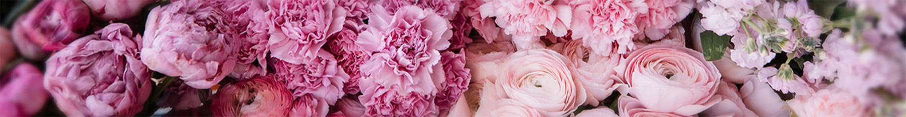 Wedding Inquiry - The Blossom Shop - Charlotte, NC - The Blossom Shop ...