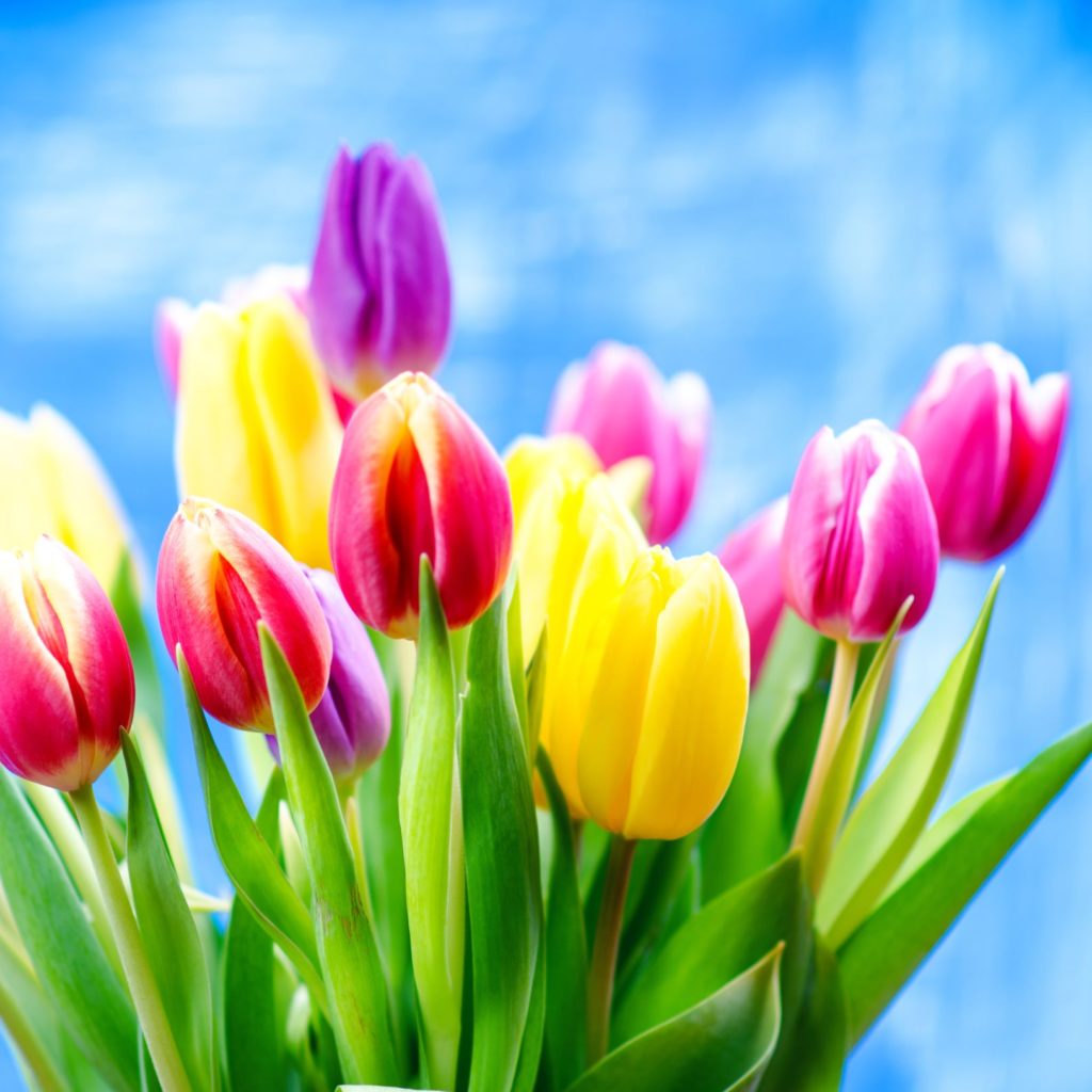 A Springtime Sonata of Gorgeous Pastel Flowers - The Blossom Shop ...