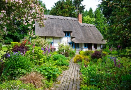 English Cottage garden