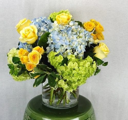 Low and mound of blue and green hydrangea dotted with yellow standard and spray roses.
