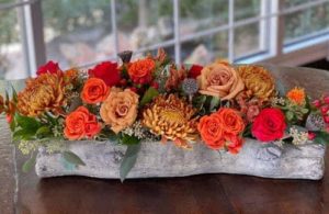 Blazing colors of red, orange and gold nestled in a cement log planter.