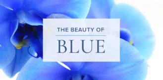 Elegant-BeautyofBlue-blog