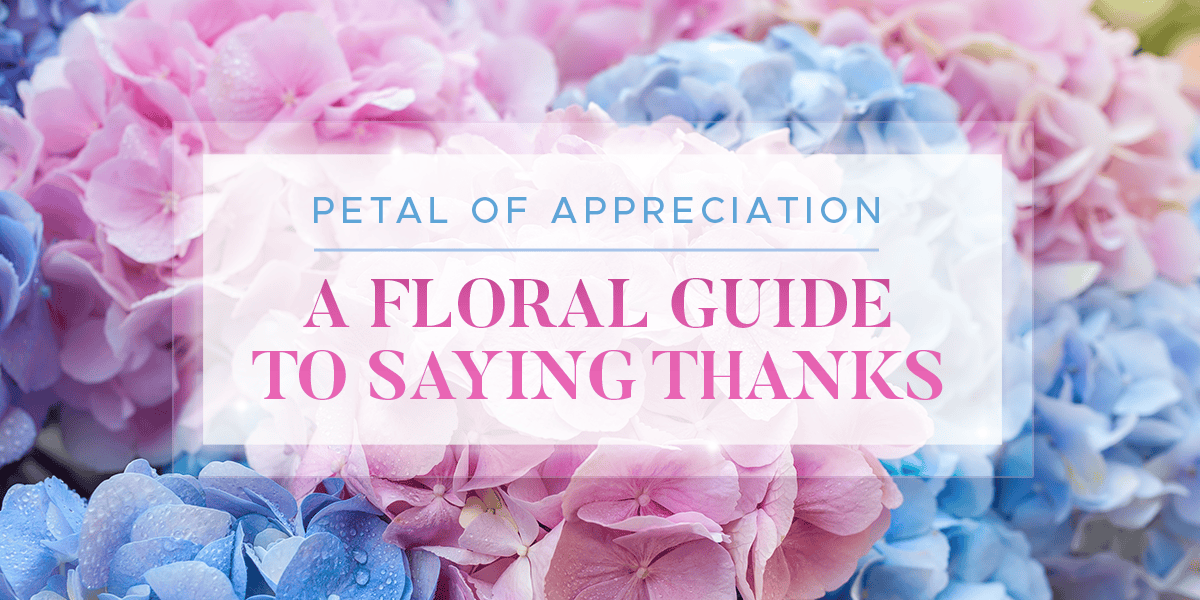 Blooming Appreciation: How to Arrange a Thank-You Floral Gift - The ...